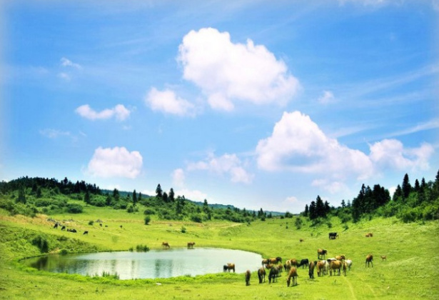 通洲到廊坊長途汽車